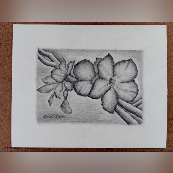 Framed Original Original Drawing of Desert Rose Floral Artwork. Signed by Artist - Picture 2 of 16